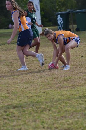 DSC 0608
