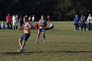 DSC 0706