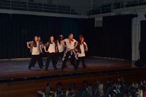 PDSSSC 201 12 4255