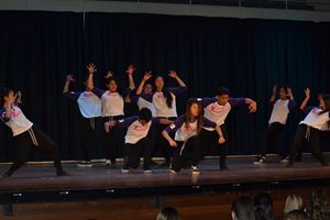 PDSSSC 201 12 4282