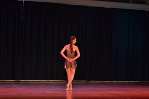 PDSSSC 201 12 4316