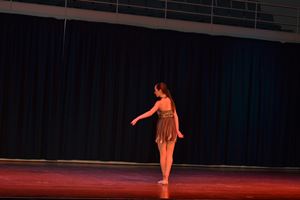 PDSSSC 201 12 4317