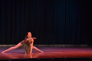 PDSSSC 201 12 4319