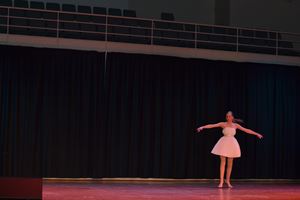 PDSSSC 201 12 4326
