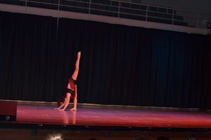 PDSSSC 201 12 4333