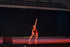 PDSSSC 201 12 4334