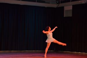 PDSSSC 201 12 4337
