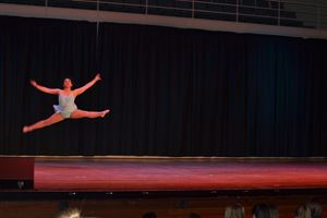 PDSSSC 201 12 4338