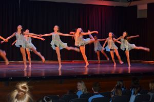 PDSSSC 201 12 4343