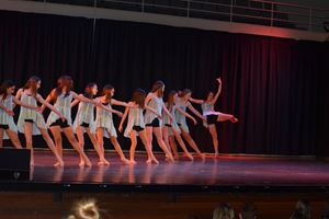 PDSSSC 201 12 4346