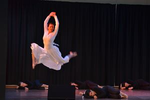 PDSSSC 201 12 4355