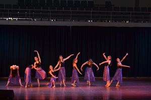 PDSSSC 201 12 4399