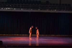 PDSSSC 201 12 4407