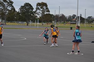 PDSSSC Netball 2012 002