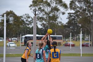 PDSSSC Netball 2012 010