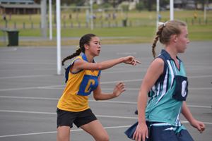 PDSSSC Netball 2012 011