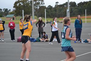 PDSSSC Netball 2012 022