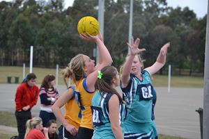 PDSSSC Netball 2012 024