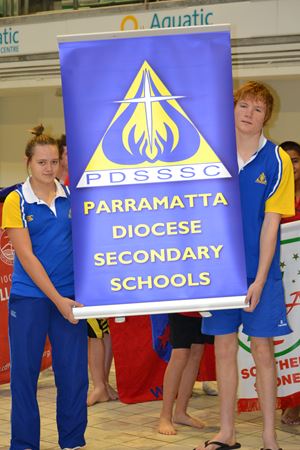 PDSSSC 201 12 003