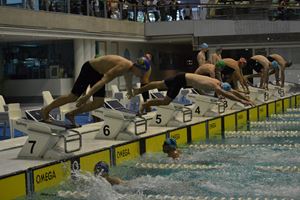 PDSSSC 201 12 034