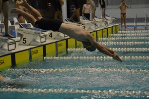 PDSSSC 201 12 038