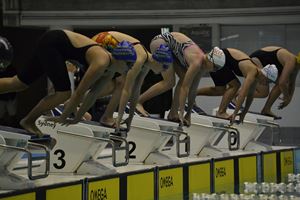 PDSSSC 201 12 056