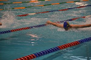 PDSSSC 201 12 113
