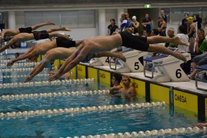 PDSSSC 201 12 119