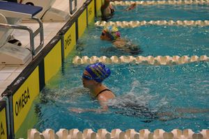 PDSSSC 201 12 167