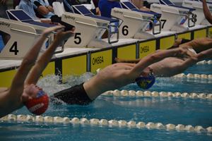 PDSSSC 201 12 194