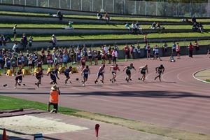 Copy of PDSSSC 201 12 5246