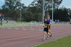 PDSSSC 201 12 4580