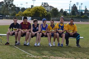 PDSSSC 201 12 4590