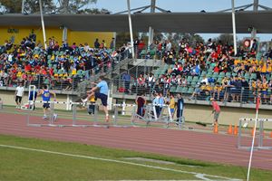 PDSSSC 201 12 4599