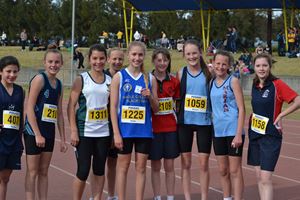 PDSSSC 201 12 4771