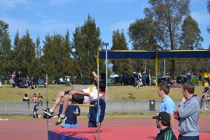 PDSSSC 201 12 4853