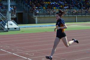 PDSSSC 201 12 4917