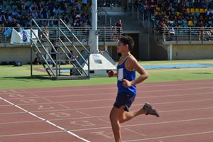 PDSSSC 201 12 4919