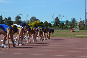 PDSSSC 201 12 4995