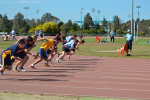 PDSSSC 201 12 5002