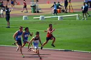 PDSSSC 201 12 5229
