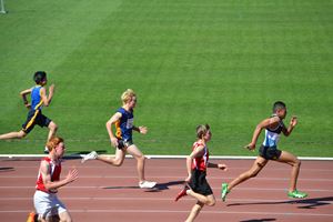 PDSSSC 201 12 5278