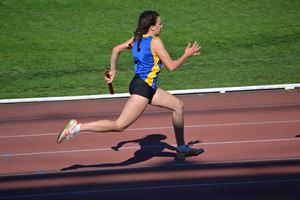PDSSSC 201 12 5356