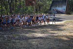 DSC 0779 (14)