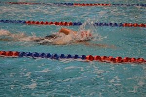 PDSSSC 201 12 5668