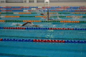 PDSSSC 201 12 5739