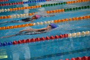 PDSSSC 201 12 5786