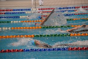 PDSSSC 201 12 5795
