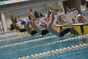PDSSSC 201 12 5801