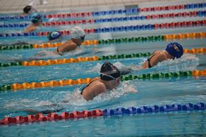 PDSSSC 201 12 5806